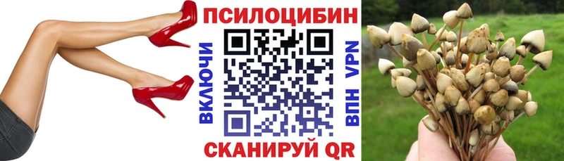 Псилоцибиновые грибы Cubensis  Купить где  Новоузенск 